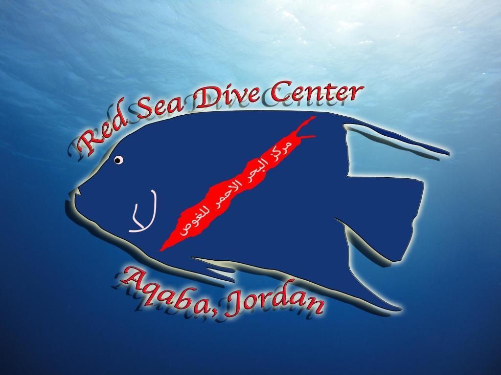 Hotel Red Sea Dive Center à Aqaba Extérieur photo